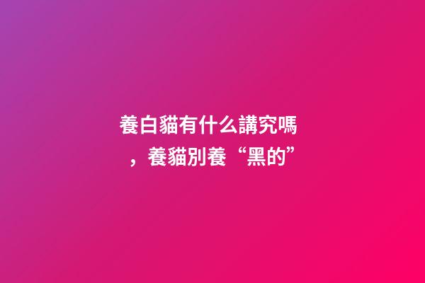 養白貓有什么講究嗎，養貓別養“黑的”-第1張-觀點-玄機派